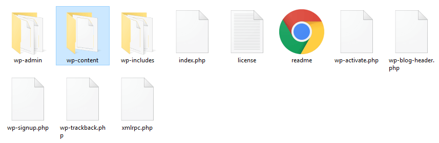 The wp-content folder.