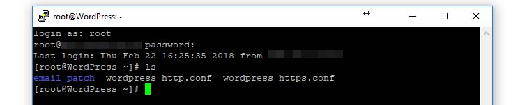 Your WordPress root folder as seen from the command line.