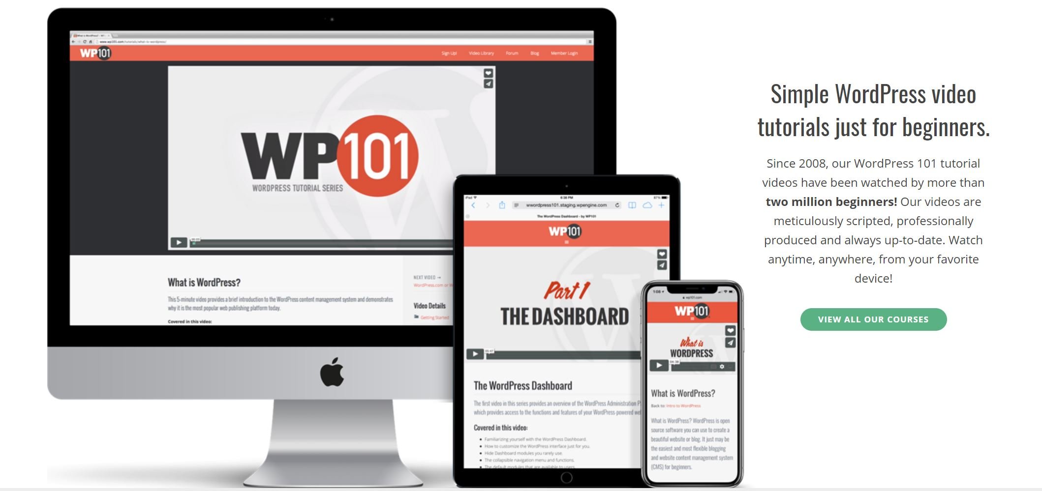 The WordPress 101 website homepage.