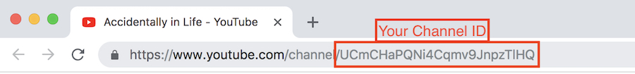 Your Channel ID on YouTube URL